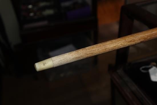 A carved ivory bulldog handled walking stick